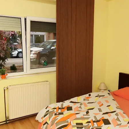 Casa Agnes 티미쇼아라