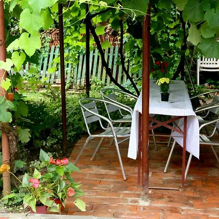 Πανσιόν Casa Agnes Τιμισοάρα